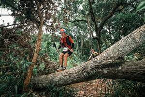 BIB: 
                            <button type="button" onclick="openModal(25547358)" class="btn btn-primary btn-sm float-right btn-popup" data-toggle="modal" data-target=".modal-high-quality">
                        <i class="fas fa-shopping-cart"></i> Add to Cart
                    </button>
                                            <button type="button" onclick="isThisMe(25547358, true)" class="btn btn-success btn-sm float-right btn-popup btn-isme hidden" data-toggle="tooltip" data-placement="bottom" title="นี่คือรูปของคุณใช่ไหม คลิกที่นี่เพื่อเอาเข้าอัลบั้ม">
                        <i class="fas fa-plus"></i> Add to album
                    </button>
                    <button type="button" onclick="isThisMe(25547358, false)" class="btn btn-warning btn-sm float-right btn-popup btn-isnotme hidden">
                        <i class="fas fa-ban"></i> Remove from album
                    </button>