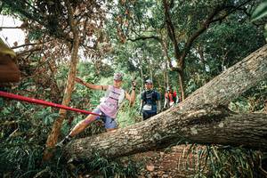 BIB: 
                            <button type="button" onclick="openModal(25537780)" class="btn btn-primary btn-sm float-right btn-popup" data-toggle="modal" data-target=".modal-high-quality">
                        <i class="fas fa-shopping-cart"></i> Add to Cart
                    </button>
                                            <button type="button" onclick="isThisMe(25537780, true)" class="btn btn-success btn-sm float-right btn-popup btn-isme hidden" data-toggle="tooltip" data-placement="bottom" title="นี่คือรูปของคุณใช่ไหม คลิกที่นี่เพื่อเอาเข้าอัลบั้ม">
                        <i class="fas fa-plus"></i> Add to album
                    </button>
                    <button type="button" onclick="isThisMe(25537780, false)" class="btn btn-warning btn-sm float-right btn-popup btn-isnotme hidden">
                        <i class="fas fa-ban"></i> Remove from album
                    </button>