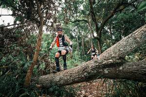 BIB: 
                            <button type="button" onclick="openModal(25529894)" class="btn btn-primary btn-sm float-right btn-popup" data-toggle="modal" data-target=".modal-high-quality">
                        <i class="fas fa-shopping-cart"></i> Add to Cart
                    </button>
                                            <button type="button" onclick="isThisMe(25529894, true)" class="btn btn-success btn-sm float-right btn-popup btn-isme hidden" data-toggle="tooltip" data-placement="bottom" title="นี่คือรูปของคุณใช่ไหม คลิกที่นี่เพื่อเอาเข้าอัลบั้ม">
                        <i class="fas fa-plus"></i> Add to album
                    </button>
                    <button type="button" onclick="isThisMe(25529894, false)" class="btn btn-warning btn-sm float-right btn-popup btn-isnotme hidden">
                        <i class="fas fa-ban"></i> Remove from album
                    </button>