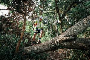 BIB: 
                            <button type="button" onclick="openModal(25534417)" class="btn btn-primary btn-sm float-right btn-popup" data-toggle="modal" data-target=".modal-high-quality">
                        <i class="fas fa-shopping-cart"></i> Add to Cart
                    </button>
                                            <button type="button" onclick="isThisMe(25534417, true)" class="btn btn-success btn-sm float-right btn-popup btn-isme hidden" data-toggle="tooltip" data-placement="bottom" title="นี่คือรูปของคุณใช่ไหม คลิกที่นี่เพื่อเอาเข้าอัลบั้ม">
                        <i class="fas fa-plus"></i> Add to album
                    </button>
                    <button type="button" onclick="isThisMe(25534417, false)" class="btn btn-warning btn-sm float-right btn-popup btn-isnotme hidden">
                        <i class="fas fa-ban"></i> Remove from album
                    </button>