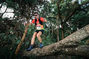 BIB: 
                            <button type="button" onclick="openModal(25525613)" class="btn btn-primary btn-sm float-right btn-popup" data-toggle="modal" data-target=".modal-high-quality">
                        <i class="fas fa-shopping-cart"></i> Add to Cart
                    </button>
                                            <button type="button" onclick="isThisMe(25525613, true)" class="btn btn-success btn-sm float-right btn-popup btn-isme hidden" data-toggle="tooltip" data-placement="bottom" title="นี่คือรูปของคุณใช่ไหม คลิกที่นี่เพื่อเอาเข้าอัลบั้ม">
                        <i class="fas fa-plus"></i> Add to album
                    </button>
                    <button type="button" onclick="isThisMe(25525613, false)" class="btn btn-warning btn-sm float-right btn-popup btn-isnotme hidden">
                        <i class="fas fa-ban"></i> Remove from album
                    </button>