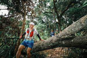 BIB: 
                            <button type="button" onclick="openModal(25549390)" class="btn btn-primary btn-sm float-right btn-popup" data-toggle="modal" data-target=".modal-high-quality">
                        <i class="fas fa-shopping-cart"></i> Add to Cart
                    </button>
                                            <button type="button" onclick="isThisMe(25549390, true)" class="btn btn-success btn-sm float-right btn-popup btn-isme hidden" data-toggle="tooltip" data-placement="bottom" title="นี่คือรูปของคุณใช่ไหม คลิกที่นี่เพื่อเอาเข้าอัลบั้ม">
                        <i class="fas fa-plus"></i> Add to album
                    </button>
                    <button type="button" onclick="isThisMe(25549390, false)" class="btn btn-warning btn-sm float-right btn-popup btn-isnotme hidden">
                        <i class="fas fa-ban"></i> Remove from album
                    </button>