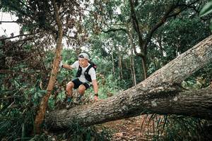 BIB: 
                            <button type="button" onclick="openModal(25547905)" class="btn btn-primary btn-sm float-right btn-popup" data-toggle="modal" data-target=".modal-high-quality">
                        <i class="fas fa-shopping-cart"></i> Add to Cart
                    </button>
                                            <button type="button" onclick="isThisMe(25547905, true)" class="btn btn-success btn-sm float-right btn-popup btn-isme hidden" data-toggle="tooltip" data-placement="bottom" title="นี่คือรูปของคุณใช่ไหม คลิกที่นี่เพื่อเอาเข้าอัลบั้ม">
                        <i class="fas fa-plus"></i> Add to album
                    </button>
                    <button type="button" onclick="isThisMe(25547905, false)" class="btn btn-warning btn-sm float-right btn-popup btn-isnotme hidden">
                        <i class="fas fa-ban"></i> Remove from album
                    </button>