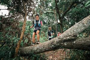 BIB: 
                            <button type="button" onclick="openModal(25544841)" class="btn btn-primary btn-sm float-right btn-popup" data-toggle="modal" data-target=".modal-high-quality">
                        <i class="fas fa-shopping-cart"></i> Add to Cart
                    </button>
                                            <button type="button" onclick="isThisMe(25544841, true)" class="btn btn-success btn-sm float-right btn-popup btn-isme hidden" data-toggle="tooltip" data-placement="bottom" title="นี่คือรูปของคุณใช่ไหม คลิกที่นี่เพื่อเอาเข้าอัลบั้ม">
                        <i class="fas fa-plus"></i> Add to album
                    </button>
                    <button type="button" onclick="isThisMe(25544841, false)" class="btn btn-warning btn-sm float-right btn-popup btn-isnotme hidden">
                        <i class="fas fa-ban"></i> Remove from album
                    </button>