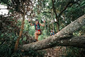 BIB: 
                            <button type="button" onclick="openModal(25533161)" class="btn btn-primary btn-sm float-right btn-popup" data-toggle="modal" data-target=".modal-high-quality">
                        <i class="fas fa-shopping-cart"></i> Add to Cart
                    </button>
                                            <button type="button" onclick="isThisMe(25533161, true)" class="btn btn-success btn-sm float-right btn-popup btn-isme hidden" data-toggle="tooltip" data-placement="bottom" title="นี่คือรูปของคุณใช่ไหม คลิกที่นี่เพื่อเอาเข้าอัลบั้ม">
                        <i class="fas fa-plus"></i> Add to album
                    </button>
                    <button type="button" onclick="isThisMe(25533161, false)" class="btn btn-warning btn-sm float-right btn-popup btn-isnotme hidden">
                        <i class="fas fa-ban"></i> Remove from album
                    </button>