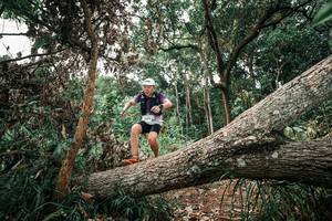 BIB: 
                            <button type="button" onclick="openModal(25530193)" class="btn btn-primary btn-sm float-right btn-popup" data-toggle="modal" data-target=".modal-high-quality">
                        <i class="fas fa-shopping-cart"></i> Add to Cart
                    </button>
                                            <button type="button" onclick="isThisMe(25530193, true)" class="btn btn-success btn-sm float-right btn-popup btn-isme hidden" data-toggle="tooltip" data-placement="bottom" title="นี่คือรูปของคุณใช่ไหม คลิกที่นี่เพื่อเอาเข้าอัลบั้ม">
                        <i class="fas fa-plus"></i> Add to album
                    </button>
                    <button type="button" onclick="isThisMe(25530193, false)" class="btn btn-warning btn-sm float-right btn-popup btn-isnotme hidden">
                        <i class="fas fa-ban"></i> Remove from album
                    </button>