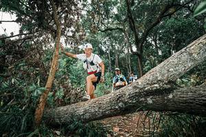 BIB: 
                            <button type="button" onclick="openModal(25541363)" class="btn btn-primary btn-sm float-right btn-popup" data-toggle="modal" data-target=".modal-high-quality">
                        <i class="fas fa-shopping-cart"></i> Add to Cart
                    </button>
                                            <button type="button" onclick="isThisMe(25541363, true)" class="btn btn-success btn-sm float-right btn-popup btn-isme hidden" data-toggle="tooltip" data-placement="bottom" title="นี่คือรูปของคุณใช่ไหม คลิกที่นี่เพื่อเอาเข้าอัลบั้ม">
                        <i class="fas fa-plus"></i> Add to album
                    </button>
                    <button type="button" onclick="isThisMe(25541363, false)" class="btn btn-warning btn-sm float-right btn-popup btn-isnotme hidden">
                        <i class="fas fa-ban"></i> Remove from album
                    </button>