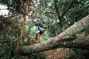 BIB: 
                            <button type="button" onclick="openModal(25546565)" class="btn btn-primary btn-sm float-right btn-popup" data-toggle="modal" data-target=".modal-high-quality">
                        <i class="fas fa-shopping-cart"></i> Add to Cart
                    </button>
                                            <button type="button" onclick="isThisMe(25546565, true)" class="btn btn-success btn-sm float-right btn-popup btn-isme hidden" data-toggle="tooltip" data-placement="bottom" title="นี่คือรูปของคุณใช่ไหม คลิกที่นี่เพื่อเอาเข้าอัลบั้ม">
                        <i class="fas fa-plus"></i> Add to album
                    </button>
                    <button type="button" onclick="isThisMe(25546565, false)" class="btn btn-warning btn-sm float-right btn-popup btn-isnotme hidden">
                        <i class="fas fa-ban"></i> Remove from album
                    </button>