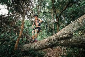 BIB: 
                            <button type="button" onclick="openModal(25528268)" class="btn btn-primary btn-sm float-right btn-popup" data-toggle="modal" data-target=".modal-high-quality">
                        <i class="fas fa-shopping-cart"></i> Add to Cart
                    </button>
                                            <button type="button" onclick="isThisMe(25528268, true)" class="btn btn-success btn-sm float-right btn-popup btn-isme hidden" data-toggle="tooltip" data-placement="bottom" title="นี่คือรูปของคุณใช่ไหม คลิกที่นี่เพื่อเอาเข้าอัลบั้ม">
                        <i class="fas fa-plus"></i> Add to album
                    </button>
                    <button type="button" onclick="isThisMe(25528268, false)" class="btn btn-warning btn-sm float-right btn-popup btn-isnotme hidden">
                        <i class="fas fa-ban"></i> Remove from album
                    </button>