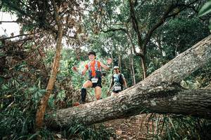 BIB: 
                            <button type="button" onclick="openModal(25540920)" class="btn btn-primary btn-sm float-right btn-popup" data-toggle="modal" data-target=".modal-high-quality">
                        <i class="fas fa-shopping-cart"></i> Add to Cart
                    </button>
                                            <button type="button" onclick="isThisMe(25540920, true)" class="btn btn-success btn-sm float-right btn-popup btn-isme hidden" data-toggle="tooltip" data-placement="bottom" title="นี่คือรูปของคุณใช่ไหม คลิกที่นี่เพื่อเอาเข้าอัลบั้ม">
                        <i class="fas fa-plus"></i> Add to album
                    </button>
                    <button type="button" onclick="isThisMe(25540920, false)" class="btn btn-warning btn-sm float-right btn-popup btn-isnotme hidden">
                        <i class="fas fa-ban"></i> Remove from album
                    </button>