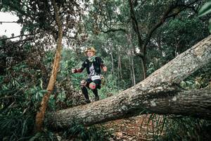 BIB: 
                            <button type="button" onclick="openModal(25542378)" class="btn btn-primary btn-sm float-right btn-popup" data-toggle="modal" data-target=".modal-high-quality">
                        <i class="fas fa-shopping-cart"></i> Add to Cart
                    </button>
                                            <button type="button" onclick="isThisMe(25542378, true)" class="btn btn-success btn-sm float-right btn-popup btn-isme hidden" data-toggle="tooltip" data-placement="bottom" title="นี่คือรูปของคุณใช่ไหม คลิกที่นี่เพื่อเอาเข้าอัลบั้ม">
                        <i class="fas fa-plus"></i> Add to album
                    </button>
                    <button type="button" onclick="isThisMe(25542378, false)" class="btn btn-warning btn-sm float-right btn-popup btn-isnotme hidden">
                        <i class="fas fa-ban"></i> Remove from album
                    </button>