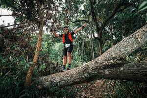 BIB: 
                            <button type="button" onclick="openModal(25535626)" class="btn btn-primary btn-sm float-right btn-popup" data-toggle="modal" data-target=".modal-high-quality">
                        <i class="fas fa-shopping-cart"></i> Add to Cart
                    </button>
                                            <button type="button" onclick="isThisMe(25535626, true)" class="btn btn-success btn-sm float-right btn-popup btn-isme hidden" data-toggle="tooltip" data-placement="bottom" title="นี่คือรูปของคุณใช่ไหม คลิกที่นี่เพื่อเอาเข้าอัลบั้ม">
                        <i class="fas fa-plus"></i> Add to album
                    </button>
                    <button type="button" onclick="isThisMe(25535626, false)" class="btn btn-warning btn-sm float-right btn-popup btn-isnotme hidden">
                        <i class="fas fa-ban"></i> Remove from album
                    </button>