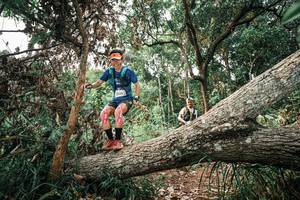 BIB: 
                            <button type="button" onclick="openModal(25529733)" class="btn btn-primary btn-sm float-right btn-popup" data-toggle="modal" data-target=".modal-high-quality">
                        <i class="fas fa-shopping-cart"></i> Add to Cart
                    </button>
                                            <button type="button" onclick="isThisMe(25529733, true)" class="btn btn-success btn-sm float-right btn-popup btn-isme hidden" data-toggle="tooltip" data-placement="bottom" title="นี่คือรูปของคุณใช่ไหม คลิกที่นี่เพื่อเอาเข้าอัลบั้ม">
                        <i class="fas fa-plus"></i> Add to album
                    </button>
                    <button type="button" onclick="isThisMe(25529733, false)" class="btn btn-warning btn-sm float-right btn-popup btn-isnotme hidden">
                        <i class="fas fa-ban"></i> Remove from album
                    </button>