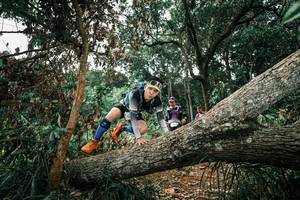 BIB: 
                            <button type="button" onclick="openModal(25549961)" class="btn btn-primary btn-sm float-right btn-popup" data-toggle="modal" data-target=".modal-high-quality">
                        <i class="fas fa-shopping-cart"></i> Add to Cart
                    </button>
                                            <button type="button" onclick="isThisMe(25549961, true)" class="btn btn-success btn-sm float-right btn-popup btn-isme hidden" data-toggle="tooltip" data-placement="bottom" title="นี่คือรูปของคุณใช่ไหม คลิกที่นี่เพื่อเอาเข้าอัลบั้ม">
                        <i class="fas fa-plus"></i> Add to album
                    </button>
                    <button type="button" onclick="isThisMe(25549961, false)" class="btn btn-warning btn-sm float-right btn-popup btn-isnotme hidden">
                        <i class="fas fa-ban"></i> Remove from album
                    </button>