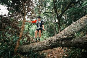 BIB: 
                            <button type="button" onclick="openModal(25548129)" class="btn btn-primary btn-sm float-right btn-popup" data-toggle="modal" data-target=".modal-high-quality">
                        <i class="fas fa-shopping-cart"></i> Add to Cart
                    </button>
                                            <button type="button" onclick="isThisMe(25548129, true)" class="btn btn-success btn-sm float-right btn-popup btn-isme hidden" data-toggle="tooltip" data-placement="bottom" title="นี่คือรูปของคุณใช่ไหม คลิกที่นี่เพื่อเอาเข้าอัลบั้ม">
                        <i class="fas fa-plus"></i> Add to album
                    </button>
                    <button type="button" onclick="isThisMe(25548129, false)" class="btn btn-warning btn-sm float-right btn-popup btn-isnotme hidden">
                        <i class="fas fa-ban"></i> Remove from album
                    </button>