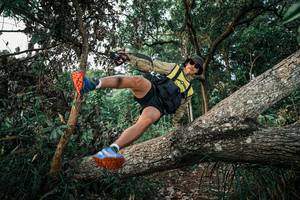 BIB: 
                            <button type="button" onclick="openModal(25526929)" class="btn btn-primary btn-sm float-right btn-popup" data-toggle="modal" data-target=".modal-high-quality">
                        <i class="fas fa-shopping-cart"></i> Add to Cart
                    </button>
                                            <button type="button" onclick="isThisMe(25526929, true)" class="btn btn-success btn-sm float-right btn-popup btn-isme hidden" data-toggle="tooltip" data-placement="bottom" title="นี่คือรูปของคุณใช่ไหม คลิกที่นี่เพื่อเอาเข้าอัลบั้ม">
                        <i class="fas fa-plus"></i> Add to album
                    </button>
                    <button type="button" onclick="isThisMe(25526929, false)" class="btn btn-warning btn-sm float-right btn-popup btn-isnotme hidden">
                        <i class="fas fa-ban"></i> Remove from album
                    </button>