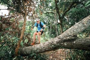 BIB: 
                            <button type="button" onclick="openModal(25543370)" class="btn btn-primary btn-sm float-right btn-popup" data-toggle="modal" data-target=".modal-high-quality">
                        <i class="fas fa-shopping-cart"></i> Add to Cart
                    </button>
                                            <button type="button" onclick="isThisMe(25543370, true)" class="btn btn-success btn-sm float-right btn-popup btn-isme hidden" data-toggle="tooltip" data-placement="bottom" title="นี่คือรูปของคุณใช่ไหม คลิกที่นี่เพื่อเอาเข้าอัลบั้ม">
                        <i class="fas fa-plus"></i> Add to album
                    </button>
                    <button type="button" onclick="isThisMe(25543370, false)" class="btn btn-warning btn-sm float-right btn-popup btn-isnotme hidden">
                        <i class="fas fa-ban"></i> Remove from album
                    </button>