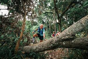 BIB: 
                            <button type="button" onclick="openModal(25531391)" class="btn btn-primary btn-sm float-right btn-popup" data-toggle="modal" data-target=".modal-high-quality">
                        <i class="fas fa-shopping-cart"></i> Add to Cart
                    </button>
                                            <button type="button" onclick="isThisMe(25531391, true)" class="btn btn-success btn-sm float-right btn-popup btn-isme hidden" data-toggle="tooltip" data-placement="bottom" title="นี่คือรูปของคุณใช่ไหม คลิกที่นี่เพื่อเอาเข้าอัลบั้ม">
                        <i class="fas fa-plus"></i> Add to album
                    </button>
                    <button type="button" onclick="isThisMe(25531391, false)" class="btn btn-warning btn-sm float-right btn-popup btn-isnotme hidden">
                        <i class="fas fa-ban"></i> Remove from album
                    </button>