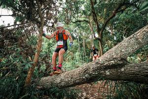 BIB: 
                            <button type="button" onclick="openModal(25527446)" class="btn btn-primary btn-sm float-right btn-popup" data-toggle="modal" data-target=".modal-high-quality">
                        <i class="fas fa-shopping-cart"></i> Add to Cart
                    </button>
                                            <button type="button" onclick="isThisMe(25527446, true)" class="btn btn-success btn-sm float-right btn-popup btn-isme hidden" data-toggle="tooltip" data-placement="bottom" title="นี่คือรูปของคุณใช่ไหม คลิกที่นี่เพื่อเอาเข้าอัลบั้ม">
                        <i class="fas fa-plus"></i> Add to album
                    </button>
                    <button type="button" onclick="isThisMe(25527446, false)" class="btn btn-warning btn-sm float-right btn-popup btn-isnotme hidden">
                        <i class="fas fa-ban"></i> Remove from album
                    </button>