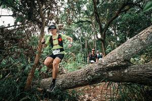 BIB: 
                            <button type="button" onclick="openModal(25530014)" class="btn btn-primary btn-sm float-right btn-popup" data-toggle="modal" data-target=".modal-high-quality">
                        <i class="fas fa-shopping-cart"></i> Add to Cart
                    </button>
                                            <button type="button" onclick="isThisMe(25530014, true)" class="btn btn-success btn-sm float-right btn-popup btn-isme hidden" data-toggle="tooltip" data-placement="bottom" title="นี่คือรูปของคุณใช่ไหม คลิกที่นี่เพื่อเอาเข้าอัลบั้ม">
                        <i class="fas fa-plus"></i> Add to album
                    </button>
                    <button type="button" onclick="isThisMe(25530014, false)" class="btn btn-warning btn-sm float-right btn-popup btn-isnotme hidden">
                        <i class="fas fa-ban"></i> Remove from album
                    </button>