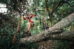 BIB: 
                            <button type="button" onclick="openModal(25526819)" class="btn btn-primary btn-sm float-right btn-popup" data-toggle="modal" data-target=".modal-high-quality">
                        <i class="fas fa-shopping-cart"></i> Add to Cart
                    </button>
                                            <button type="button" onclick="isThisMe(25526819, true)" class="btn btn-success btn-sm float-right btn-popup btn-isme hidden" data-toggle="tooltip" data-placement="bottom" title="นี่คือรูปของคุณใช่ไหม คลิกที่นี่เพื่อเอาเข้าอัลบั้ม">
                        <i class="fas fa-plus"></i> Add to album
                    </button>
                    <button type="button" onclick="isThisMe(25526819, false)" class="btn btn-warning btn-sm float-right btn-popup btn-isnotme hidden">
                        <i class="fas fa-ban"></i> Remove from album
                    </button>