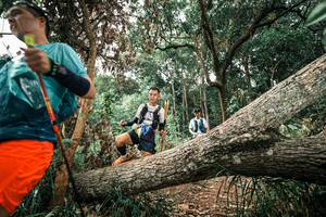 BIB: 
                            <button type="button" onclick="openModal(25545594)" class="btn btn-primary btn-sm float-right btn-popup" data-toggle="modal" data-target=".modal-high-quality">
                        <i class="fas fa-shopping-cart"></i> Add to Cart
                    </button>
                                            <button type="button" onclick="isThisMe(25545594, true)" class="btn btn-success btn-sm float-right btn-popup btn-isme hidden" data-toggle="tooltip" data-placement="bottom" title="นี่คือรูปของคุณใช่ไหม คลิกที่นี่เพื่อเอาเข้าอัลบั้ม">
                        <i class="fas fa-plus"></i> Add to album
                    </button>
                    <button type="button" onclick="isThisMe(25545594, false)" class="btn btn-warning btn-sm float-right btn-popup btn-isnotme hidden">
                        <i class="fas fa-ban"></i> Remove from album
                    </button>