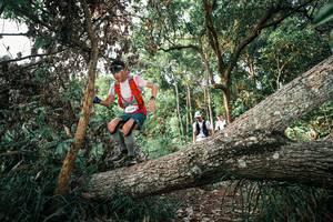 BIB: 
                            <button type="button" onclick="openModal(25527787)" class="btn btn-primary btn-sm float-right btn-popup" data-toggle="modal" data-target=".modal-high-quality">
                        <i class="fas fa-shopping-cart"></i> Add to Cart
                    </button>
                                            <button type="button" onclick="isThisMe(25527787, true)" class="btn btn-success btn-sm float-right btn-popup btn-isme hidden" data-toggle="tooltip" data-placement="bottom" title="นี่คือรูปของคุณใช่ไหม คลิกที่นี่เพื่อเอาเข้าอัลบั้ม">
                        <i class="fas fa-plus"></i> Add to album
                    </button>
                    <button type="button" onclick="isThisMe(25527787, false)" class="btn btn-warning btn-sm float-right btn-popup btn-isnotme hidden">
                        <i class="fas fa-ban"></i> Remove from album
                    </button>