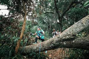 BIB: 
                            <button type="button" onclick="openModal(25541287)" class="btn btn-primary btn-sm float-right btn-popup" data-toggle="modal" data-target=".modal-high-quality">
                        <i class="fas fa-shopping-cart"></i> Add to Cart
                    </button>
                                            <button type="button" onclick="isThisMe(25541287, true)" class="btn btn-success btn-sm float-right btn-popup btn-isme hidden" data-toggle="tooltip" data-placement="bottom" title="นี่คือรูปของคุณใช่ไหม คลิกที่นี่เพื่อเอาเข้าอัลบั้ม">
                        <i class="fas fa-plus"></i> Add to album
                    </button>
                    <button type="button" onclick="isThisMe(25541287, false)" class="btn btn-warning btn-sm float-right btn-popup btn-isnotme hidden">
                        <i class="fas fa-ban"></i> Remove from album
                    </button>