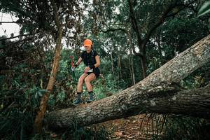 BIB: 
                            <button type="button" onclick="openModal(25551203)" class="btn btn-primary btn-sm float-right btn-popup" data-toggle="modal" data-target=".modal-high-quality">
                        <i class="fas fa-shopping-cart"></i> Add to Cart
                    </button>
                                            <button type="button" onclick="isThisMe(25551203, true)" class="btn btn-success btn-sm float-right btn-popup btn-isme hidden" data-toggle="tooltip" data-placement="bottom" title="นี่คือรูปของคุณใช่ไหม คลิกที่นี่เพื่อเอาเข้าอัลบั้ม">
                        <i class="fas fa-plus"></i> Add to album
                    </button>
                    <button type="button" onclick="isThisMe(25551203, false)" class="btn btn-warning btn-sm float-right btn-popup btn-isnotme hidden">
                        <i class="fas fa-ban"></i> Remove from album
                    </button>