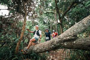 BIB: 
                            <button type="button" onclick="openModal(25529338)" class="btn btn-primary btn-sm float-right btn-popup" data-toggle="modal" data-target=".modal-high-quality">
                        <i class="fas fa-shopping-cart"></i> Add to Cart
                    </button>
                                            <button type="button" onclick="isThisMe(25529338, true)" class="btn btn-success btn-sm float-right btn-popup btn-isme hidden" data-toggle="tooltip" data-placement="bottom" title="นี่คือรูปของคุณใช่ไหม คลิกที่นี่เพื่อเอาเข้าอัลบั้ม">
                        <i class="fas fa-plus"></i> Add to album
                    </button>
                    <button type="button" onclick="isThisMe(25529338, false)" class="btn btn-warning btn-sm float-right btn-popup btn-isnotme hidden">
                        <i class="fas fa-ban"></i> Remove from album
                    </button>