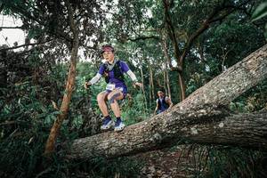 BIB: 
                            <button type="button" onclick="openModal(25527012)" class="btn btn-primary btn-sm float-right btn-popup" data-toggle="modal" data-target=".modal-high-quality">
                        <i class="fas fa-shopping-cart"></i> Add to Cart
                    </button>
                                            <button type="button" onclick="isThisMe(25527012, true)" class="btn btn-success btn-sm float-right btn-popup btn-isme hidden" data-toggle="tooltip" data-placement="bottom" title="นี่คือรูปของคุณใช่ไหม คลิกที่นี่เพื่อเอาเข้าอัลบั้ม">
                        <i class="fas fa-plus"></i> Add to album
                    </button>
                    <button type="button" onclick="isThisMe(25527012, false)" class="btn btn-warning btn-sm float-right btn-popup btn-isnotme hidden">
                        <i class="fas fa-ban"></i> Remove from album
                    </button>