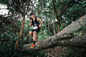 BIB: 
                            <button type="button" onclick="openModal(25528004)" class="btn btn-primary btn-sm float-right btn-popup" data-toggle="modal" data-target=".modal-high-quality">
                        <i class="fas fa-shopping-cart"></i> Add to Cart
                    </button>
                                            <button type="button" onclick="isThisMe(25528004, true)" class="btn btn-success btn-sm float-right btn-popup btn-isme hidden" data-toggle="tooltip" data-placement="bottom" title="นี่คือรูปของคุณใช่ไหม คลิกที่นี่เพื่อเอาเข้าอัลบั้ม">
                        <i class="fas fa-plus"></i> Add to album
                    </button>
                    <button type="button" onclick="isThisMe(25528004, false)" class="btn btn-warning btn-sm float-right btn-popup btn-isnotme hidden">
                        <i class="fas fa-ban"></i> Remove from album
                    </button>