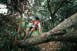 BIB: 
                            <button type="button" onclick="openModal(25549467)" class="btn btn-primary btn-sm float-right btn-popup" data-toggle="modal" data-target=".modal-high-quality">
                        <i class="fas fa-shopping-cart"></i> Add to Cart
                    </button>
                                            <button type="button" onclick="isThisMe(25549467, true)" class="btn btn-success btn-sm float-right btn-popup btn-isme hidden" data-toggle="tooltip" data-placement="bottom" title="นี่คือรูปของคุณใช่ไหม คลิกที่นี่เพื่อเอาเข้าอัลบั้ม">
                        <i class="fas fa-plus"></i> Add to album
                    </button>
                    <button type="button" onclick="isThisMe(25549467, false)" class="btn btn-warning btn-sm float-right btn-popup btn-isnotme hidden">
                        <i class="fas fa-ban"></i> Remove from album
                    </button>