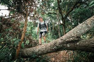 BIB: 
                            <button type="button" onclick="openModal(25544540)" class="btn btn-primary btn-sm float-right btn-popup" data-toggle="modal" data-target=".modal-high-quality">
                        <i class="fas fa-shopping-cart"></i> Add to Cart
                    </button>
                                            <button type="button" onclick="isThisMe(25544540, true)" class="btn btn-success btn-sm float-right btn-popup btn-isme hidden" data-toggle="tooltip" data-placement="bottom" title="นี่คือรูปของคุณใช่ไหม คลิกที่นี่เพื่อเอาเข้าอัลบั้ม">
                        <i class="fas fa-plus"></i> Add to album
                    </button>
                    <button type="button" onclick="isThisMe(25544540, false)" class="btn btn-warning btn-sm float-right btn-popup btn-isnotme hidden">
                        <i class="fas fa-ban"></i> Remove from album
                    </button>