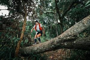 BIB: 
                            <button type="button" onclick="openModal(25548775)" class="btn btn-primary btn-sm float-right btn-popup" data-toggle="modal" data-target=".modal-high-quality">
                        <i class="fas fa-shopping-cart"></i> Add to Cart
                    </button>
                                            <button type="button" onclick="isThisMe(25548775, true)" class="btn btn-success btn-sm float-right btn-popup btn-isme hidden" data-toggle="tooltip" data-placement="bottom" title="นี่คือรูปของคุณใช่ไหม คลิกที่นี่เพื่อเอาเข้าอัลบั้ม">
                        <i class="fas fa-plus"></i> Add to album
                    </button>
                    <button type="button" onclick="isThisMe(25548775, false)" class="btn btn-warning btn-sm float-right btn-popup btn-isnotme hidden">
                        <i class="fas fa-ban"></i> Remove from album
                    </button>