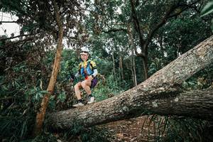 BIB: 
                            <button type="button" onclick="openModal(25543934)" class="btn btn-primary btn-sm float-right btn-popup" data-toggle="modal" data-target=".modal-high-quality">
                        <i class="fas fa-shopping-cart"></i> Add to Cart
                    </button>
                                            <button type="button" onclick="isThisMe(25543934, true)" class="btn btn-success btn-sm float-right btn-popup btn-isme hidden" data-toggle="tooltip" data-placement="bottom" title="นี่คือรูปของคุณใช่ไหม คลิกที่นี่เพื่อเอาเข้าอัลบั้ม">
                        <i class="fas fa-plus"></i> Add to album
                    </button>
                    <button type="button" onclick="isThisMe(25543934, false)" class="btn btn-warning btn-sm float-right btn-popup btn-isnotme hidden">
                        <i class="fas fa-ban"></i> Remove from album
                    </button>