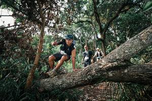 BIB: 
                            <button type="button" onclick="openModal(25534711)" class="btn btn-primary btn-sm float-right btn-popup" data-toggle="modal" data-target=".modal-high-quality">
                        <i class="fas fa-shopping-cart"></i> Add to Cart
                    </button>
                                            <button type="button" onclick="isThisMe(25534711, true)" class="btn btn-success btn-sm float-right btn-popup btn-isme hidden" data-toggle="tooltip" data-placement="bottom" title="นี่คือรูปของคุณใช่ไหม คลิกที่นี่เพื่อเอาเข้าอัลบั้ม">
                        <i class="fas fa-plus"></i> Add to album
                    </button>
                    <button type="button" onclick="isThisMe(25534711, false)" class="btn btn-warning btn-sm float-right btn-popup btn-isnotme hidden">
                        <i class="fas fa-ban"></i> Remove from album
                    </button>