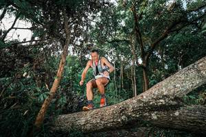 BIB: 
                            <button type="button" onclick="openModal(25525726)" class="btn btn-primary btn-sm float-right btn-popup" data-toggle="modal" data-target=".modal-high-quality">
                        <i class="fas fa-shopping-cart"></i> Add to Cart
                    </button>
                                            <button type="button" onclick="isThisMe(25525726, true)" class="btn btn-success btn-sm float-right btn-popup btn-isme hidden" data-toggle="tooltip" data-placement="bottom" title="นี่คือรูปของคุณใช่ไหม คลิกที่นี่เพื่อเอาเข้าอัลบั้ม">
                        <i class="fas fa-plus"></i> Add to album
                    </button>
                    <button type="button" onclick="isThisMe(25525726, false)" class="btn btn-warning btn-sm float-right btn-popup btn-isnotme hidden">
                        <i class="fas fa-ban"></i> Remove from album
                    </button>