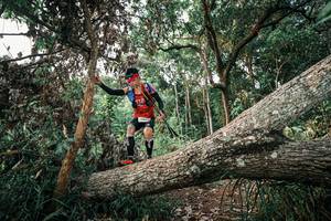 BIB: 
                            <button type="button" onclick="openModal(25528811)" class="btn btn-primary btn-sm float-right btn-popup" data-toggle="modal" data-target=".modal-high-quality">
                        <i class="fas fa-shopping-cart"></i> Add to Cart
                    </button>
                                            <button type="button" onclick="isThisMe(25528811, true)" class="btn btn-success btn-sm float-right btn-popup btn-isme hidden" data-toggle="tooltip" data-placement="bottom" title="นี่คือรูปของคุณใช่ไหม คลิกที่นี่เพื่อเอาเข้าอัลบั้ม">
                        <i class="fas fa-plus"></i> Add to album
                    </button>
                    <button type="button" onclick="isThisMe(25528811, false)" class="btn btn-warning btn-sm float-right btn-popup btn-isnotme hidden">
                        <i class="fas fa-ban"></i> Remove from album
                    </button>