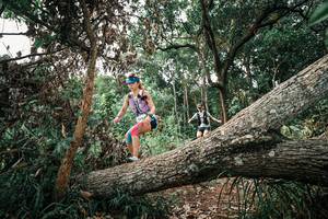 BIB: 
                            <button type="button" onclick="openModal(25531676)" class="btn btn-primary btn-sm float-right btn-popup" data-toggle="modal" data-target=".modal-high-quality">
                        <i class="fas fa-shopping-cart"></i> Add to Cart
                    </button>
                                            <button type="button" onclick="isThisMe(25531676, true)" class="btn btn-success btn-sm float-right btn-popup btn-isme hidden" data-toggle="tooltip" data-placement="bottom" title="นี่คือรูปของคุณใช่ไหม คลิกที่นี่เพื่อเอาเข้าอัลบั้ม">
                        <i class="fas fa-plus"></i> Add to album
                    </button>
                    <button type="button" onclick="isThisMe(25531676, false)" class="btn btn-warning btn-sm float-right btn-popup btn-isnotme hidden">
                        <i class="fas fa-ban"></i> Remove from album
                    </button>