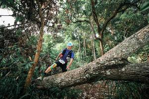 BIB: 
                            <button type="button" onclick="openModal(25527567)" class="btn btn-primary btn-sm float-right btn-popup" data-toggle="modal" data-target=".modal-high-quality">
                        <i class="fas fa-shopping-cart"></i> Add to Cart
                    </button>
                                            <button type="button" onclick="isThisMe(25527567, true)" class="btn btn-success btn-sm float-right btn-popup btn-isme hidden" data-toggle="tooltip" data-placement="bottom" title="นี่คือรูปของคุณใช่ไหม คลิกที่นี่เพื่อเอาเข้าอัลบั้ม">
                        <i class="fas fa-plus"></i> Add to album
                    </button>
                    <button type="button" onclick="isThisMe(25527567, false)" class="btn btn-warning btn-sm float-right btn-popup btn-isnotme hidden">
                        <i class="fas fa-ban"></i> Remove from album
                    </button>