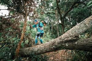 BIB: 
                            <button type="button" onclick="openModal(25545641)" class="btn btn-primary btn-sm float-right btn-popup" data-toggle="modal" data-target=".modal-high-quality">
                        <i class="fas fa-shopping-cart"></i> Add to Cart
                    </button>
                                            <button type="button" onclick="isThisMe(25545641, true)" class="btn btn-success btn-sm float-right btn-popup btn-isme hidden" data-toggle="tooltip" data-placement="bottom" title="นี่คือรูปของคุณใช่ไหม คลิกที่นี่เพื่อเอาเข้าอัลบั้ม">
                        <i class="fas fa-plus"></i> Add to album
                    </button>
                    <button type="button" onclick="isThisMe(25545641, false)" class="btn btn-warning btn-sm float-right btn-popup btn-isnotme hidden">
                        <i class="fas fa-ban"></i> Remove from album
                    </button>