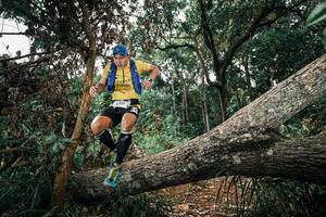 BIB: 
                            <button type="button" onclick="openModal(25546666)" class="btn btn-primary btn-sm float-right btn-popup" data-toggle="modal" data-target=".modal-high-quality">
                        <i class="fas fa-shopping-cart"></i> Add to Cart
                    </button>
                                            <button type="button" onclick="isThisMe(25546666, true)" class="btn btn-success btn-sm float-right btn-popup btn-isme hidden" data-toggle="tooltip" data-placement="bottom" title="นี่คือรูปของคุณใช่ไหม คลิกที่นี่เพื่อเอาเข้าอัลบั้ม">
                        <i class="fas fa-plus"></i> Add to album
                    </button>
                    <button type="button" onclick="isThisMe(25546666, false)" class="btn btn-warning btn-sm float-right btn-popup btn-isnotme hidden">
                        <i class="fas fa-ban"></i> Remove from album
                    </button>