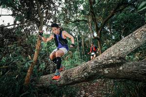 BIB: 
                            <button type="button" onclick="openModal(25527016)" class="btn btn-primary btn-sm float-right btn-popup" data-toggle="modal" data-target=".modal-high-quality">
                        <i class="fas fa-shopping-cart"></i> Add to Cart
                    </button>
                                            <button type="button" onclick="isThisMe(25527016, true)" class="btn btn-success btn-sm float-right btn-popup btn-isme hidden" data-toggle="tooltip" data-placement="bottom" title="นี่คือรูปของคุณใช่ไหม คลิกที่นี่เพื่อเอาเข้าอัลบั้ม">
                        <i class="fas fa-plus"></i> Add to album
                    </button>
                    <button type="button" onclick="isThisMe(25527016, false)" class="btn btn-warning btn-sm float-right btn-popup btn-isnotme hidden">
                        <i class="fas fa-ban"></i> Remove from album
                    </button>