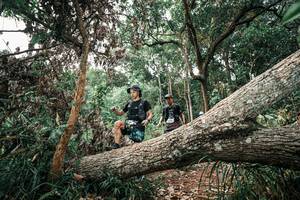 BIB: 
                            <button type="button" onclick="openModal(25529493)" class="btn btn-primary btn-sm float-right btn-popup" data-toggle="modal" data-target=".modal-high-quality">
                        <i class="fas fa-shopping-cart"></i> Add to Cart
                    </button>
                                            <button type="button" onclick="isThisMe(25529493, true)" class="btn btn-success btn-sm float-right btn-popup btn-isme hidden" data-toggle="tooltip" data-placement="bottom" title="นี่คือรูปของคุณใช่ไหม คลิกที่นี่เพื่อเอาเข้าอัลบั้ม">
                        <i class="fas fa-plus"></i> Add to album
                    </button>
                    <button type="button" onclick="isThisMe(25529493, false)" class="btn btn-warning btn-sm float-right btn-popup btn-isnotme hidden">
                        <i class="fas fa-ban"></i> Remove from album
                    </button>