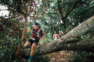 BIB: 
                            <button type="button" onclick="openModal(25549250)" class="btn btn-primary btn-sm float-right btn-popup" data-toggle="modal" data-target=".modal-high-quality">
                        <i class="fas fa-shopping-cart"></i> Add to Cart
                    </button>
                                            <button type="button" onclick="isThisMe(25549250, true)" class="btn btn-success btn-sm float-right btn-popup btn-isme hidden" data-toggle="tooltip" data-placement="bottom" title="นี่คือรูปของคุณใช่ไหม คลิกที่นี่เพื่อเอาเข้าอัลบั้ม">
                        <i class="fas fa-plus"></i> Add to album
                    </button>
                    <button type="button" onclick="isThisMe(25549250, false)" class="btn btn-warning btn-sm float-right btn-popup btn-isnotme hidden">
                        <i class="fas fa-ban"></i> Remove from album
                    </button>