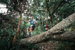 BIB: 
                            <button type="button" onclick="openModal(25527353)" class="btn btn-primary btn-sm float-right btn-popup" data-toggle="modal" data-target=".modal-high-quality">
                        <i class="fas fa-shopping-cart"></i> Add to Cart
                    </button>
                                            <button type="button" onclick="isThisMe(25527353, true)" class="btn btn-success btn-sm float-right btn-popup btn-isme hidden" data-toggle="tooltip" data-placement="bottom" title="นี่คือรูปของคุณใช่ไหม คลิกที่นี่เพื่อเอาเข้าอัลบั้ม">
                        <i class="fas fa-plus"></i> Add to album
                    </button>
                    <button type="button" onclick="isThisMe(25527353, false)" class="btn btn-warning btn-sm float-right btn-popup btn-isnotme hidden">
                        <i class="fas fa-ban"></i> Remove from album
                    </button>