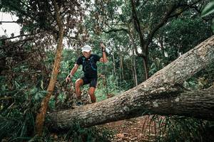 BIB: 
                            <button type="button" onclick="openModal(25546634)" class="btn btn-primary btn-sm float-right btn-popup" data-toggle="modal" data-target=".modal-high-quality">
                        <i class="fas fa-shopping-cart"></i> Add to Cart
                    </button>
                                            <button type="button" onclick="isThisMe(25546634, true)" class="btn btn-success btn-sm float-right btn-popup btn-isme hidden" data-toggle="tooltip" data-placement="bottom" title="นี่คือรูปของคุณใช่ไหม คลิกที่นี่เพื่อเอาเข้าอัลบั้ม">
                        <i class="fas fa-plus"></i> Add to album
                    </button>
                    <button type="button" onclick="isThisMe(25546634, false)" class="btn btn-warning btn-sm float-right btn-popup btn-isnotme hidden">
                        <i class="fas fa-ban"></i> Remove from album
                    </button>