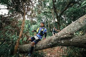 BIB: 
                            <button type="button" onclick="openModal(25544833)" class="btn btn-primary btn-sm float-right btn-popup" data-toggle="modal" data-target=".modal-high-quality">
                        <i class="fas fa-shopping-cart"></i> Add to Cart
                    </button>
                                            <button type="button" onclick="isThisMe(25544833, true)" class="btn btn-success btn-sm float-right btn-popup btn-isme hidden" data-toggle="tooltip" data-placement="bottom" title="นี่คือรูปของคุณใช่ไหม คลิกที่นี่เพื่อเอาเข้าอัลบั้ม">
                        <i class="fas fa-plus"></i> Add to album
                    </button>
                    <button type="button" onclick="isThisMe(25544833, false)" class="btn btn-warning btn-sm float-right btn-popup btn-isnotme hidden">
                        <i class="fas fa-ban"></i> Remove from album
                    </button>