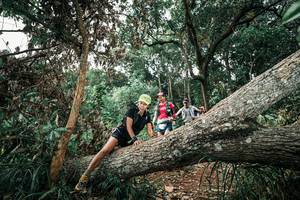 BIB: 
                            <button type="button" onclick="openModal(25538753)" class="btn btn-primary btn-sm float-right btn-popup" data-toggle="modal" data-target=".modal-high-quality">
                        <i class="fas fa-shopping-cart"></i> Add to Cart
                    </button>
                                            <button type="button" onclick="isThisMe(25538753, true)" class="btn btn-success btn-sm float-right btn-popup btn-isme hidden" data-toggle="tooltip" data-placement="bottom" title="นี่คือรูปของคุณใช่ไหม คลิกที่นี่เพื่อเอาเข้าอัลบั้ม">
                        <i class="fas fa-plus"></i> Add to album
                    </button>
                    <button type="button" onclick="isThisMe(25538753, false)" class="btn btn-warning btn-sm float-right btn-popup btn-isnotme hidden">
                        <i class="fas fa-ban"></i> Remove from album
                    </button>